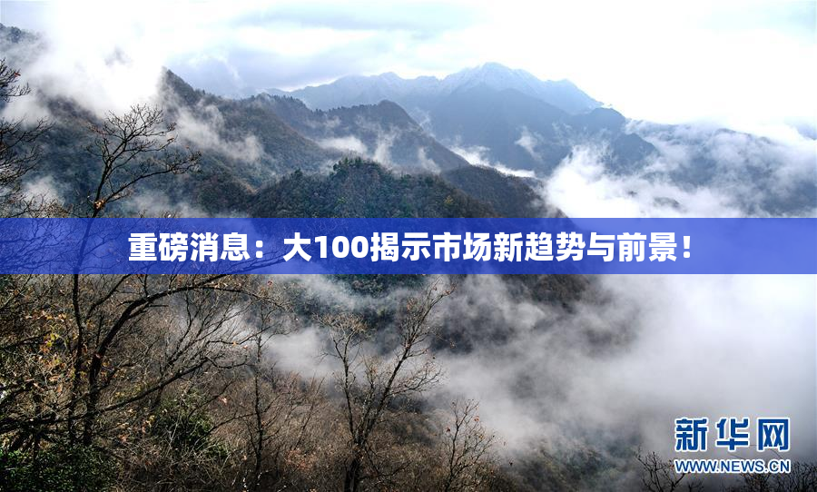 重磅消息：大100揭示市场新趋势与前景！