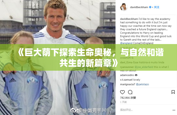 《巨大荫下探索生命奥秘，与自然和谐共生的新篇章》