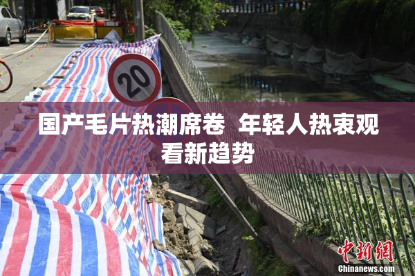 国产毛片热潮席卷  年轻人热衷观看新趋势