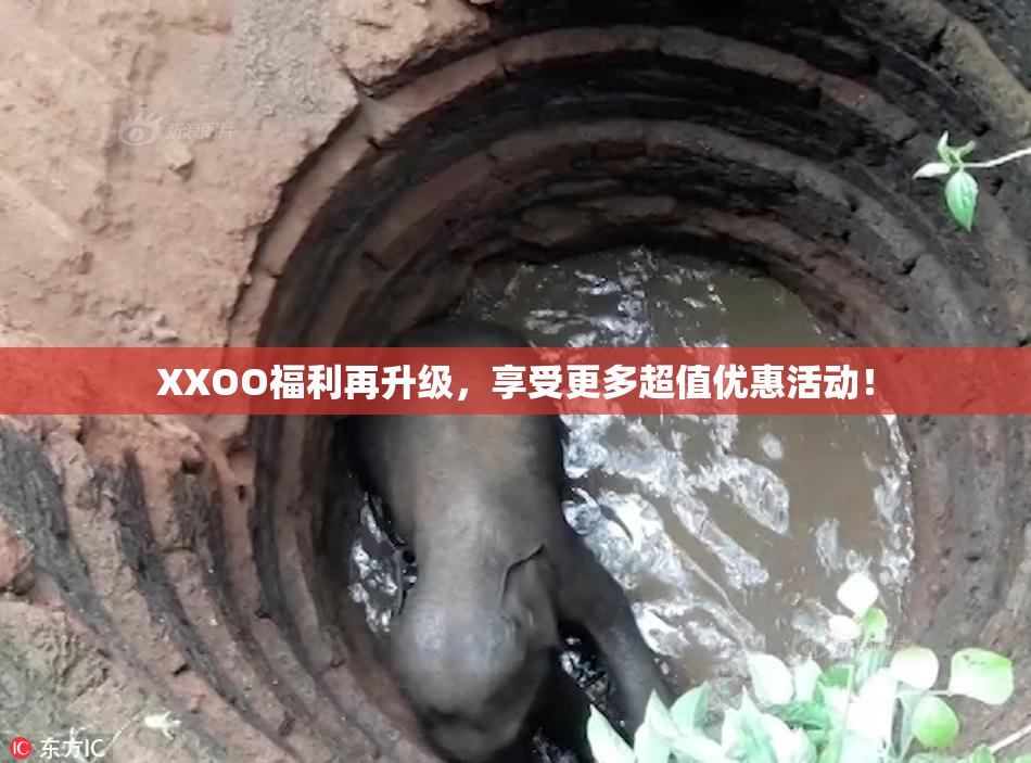 XXOO福利再升级，享受更多超值优惠活动！