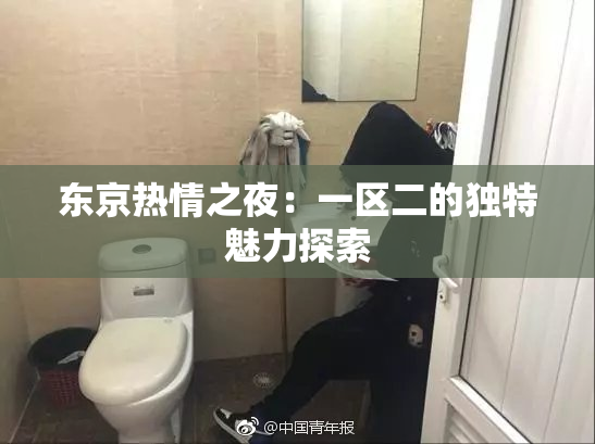 东京热情之夜：一区二的独特魅力探索