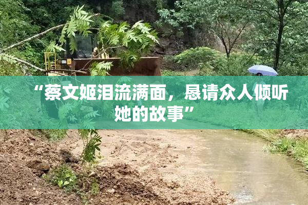 “蔡文姬泪流满面，恳请众人倾听她的故事”