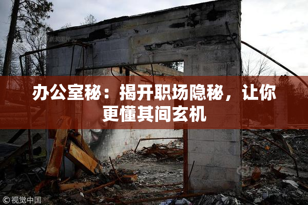 办公室秘：揭开职场隐秘，让你更懂其间玄机