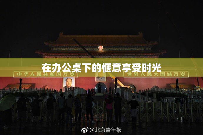 在办公桌下的惬意享受时光
