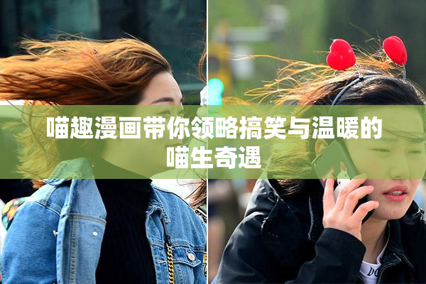 喵趣漫画带你领略搞笑与温暖的喵生奇遇