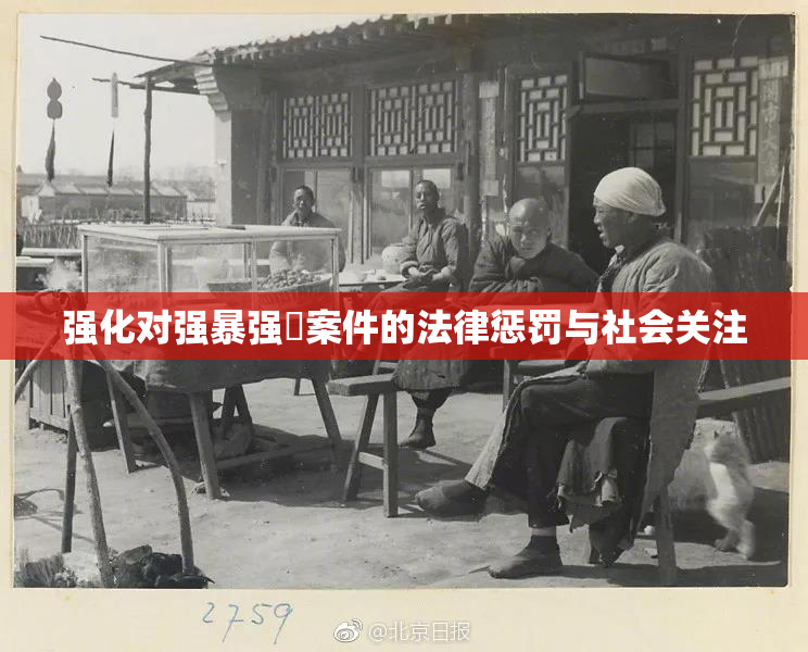 强化对强暴强姦案件的法律惩罚与社会关注
