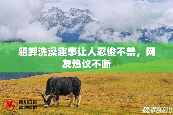 貂蝉洗澡趣事让人忍俊不禁，网友热议不断