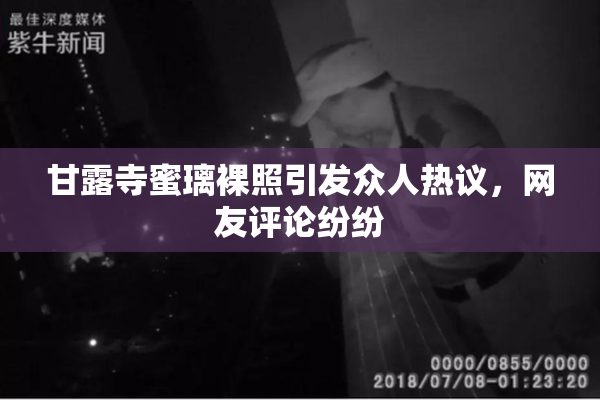 甘露寺蜜璃裸照引发众人热议，网友评论纷纷