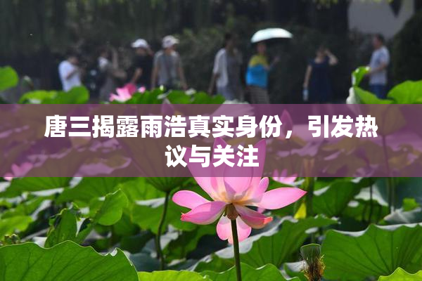 唐三揭露雨浩真实身份，引发热议与关注