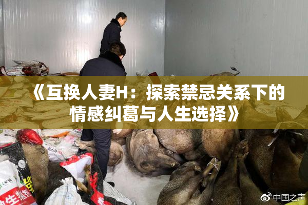 《互换人妻H：探索禁忌关系下的情感纠葛与人生选择》
