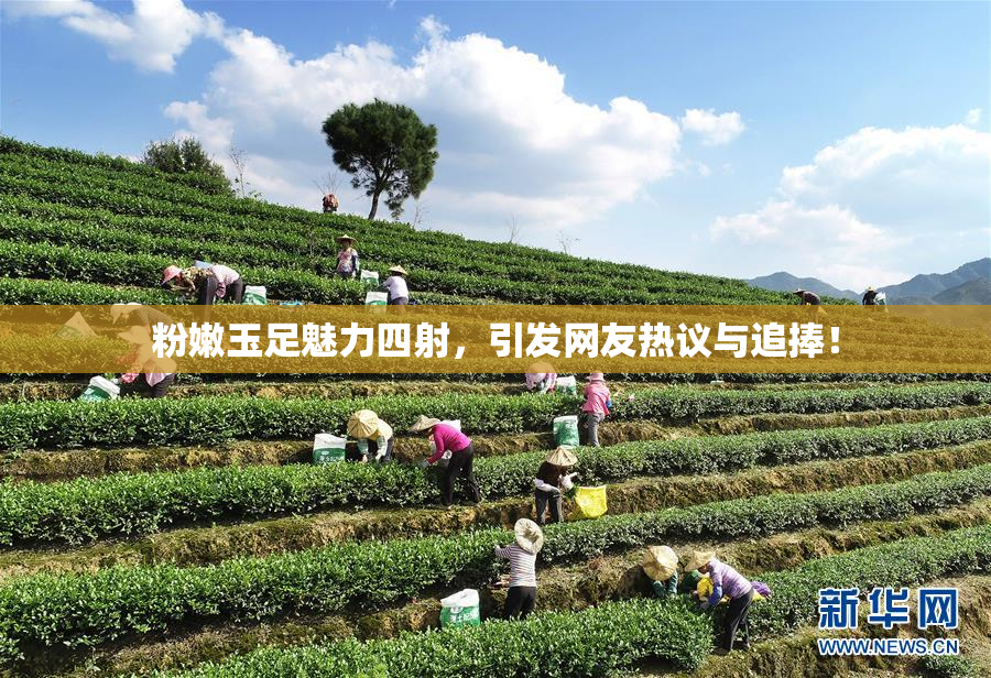 粉嫩玉足魅力四射，引发网友热议与追捧！