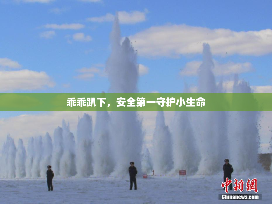 乖乖趴下，安全第一守护小生命