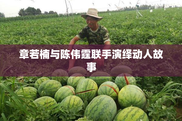 章若楠与陈伟霆联手演绎动人故事