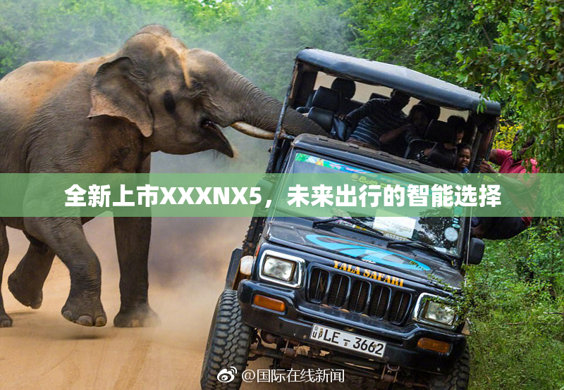 全新上市XXXNX5，未来出行的智能选择