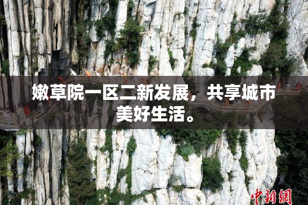 嫩草院一区二新发展，共享城市美好生活。