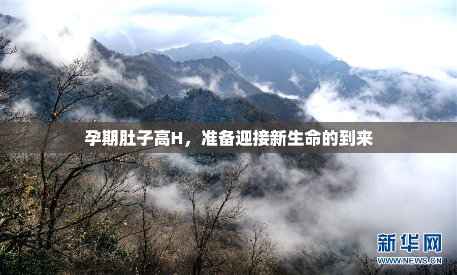 孕期肚子高H，准备迎接新生命的到来