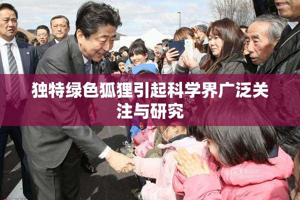 独特绿色狐狸引起科学界广泛关注与研究
