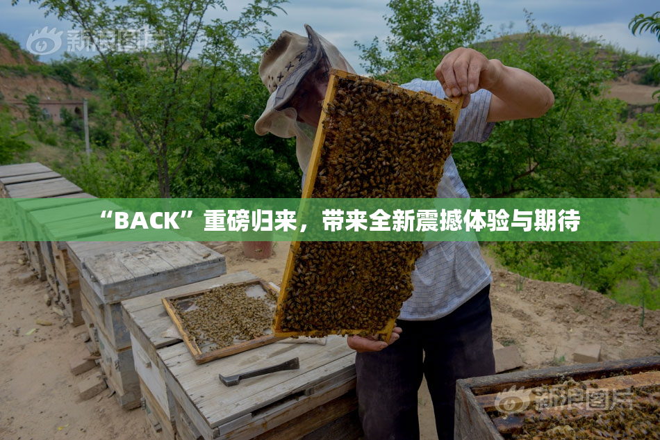 “BACK”重磅归来，带来全新震撼体验与期待