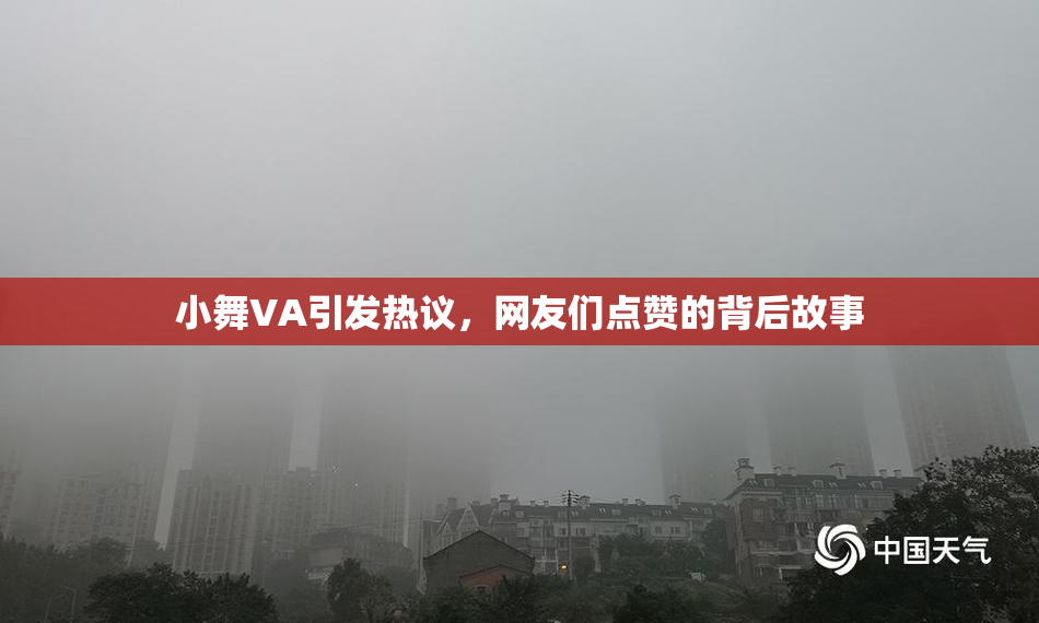 小舞VA引发热议，网友们点赞的背后故事