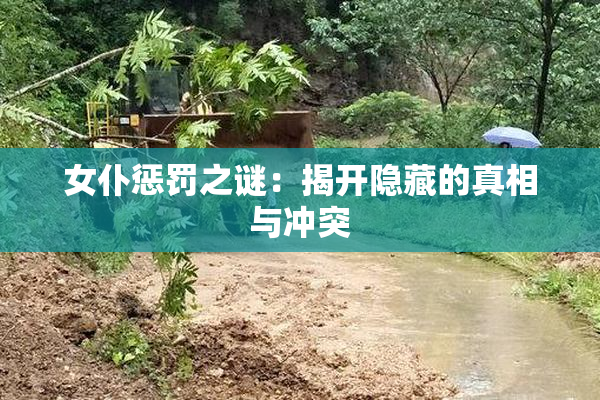 女仆惩罚之谜：揭开隐藏的真相与冲突