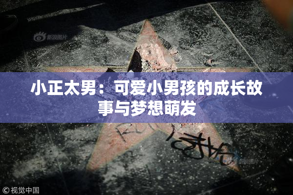 小正太男：可爱小男孩的成长故事与梦想萌发