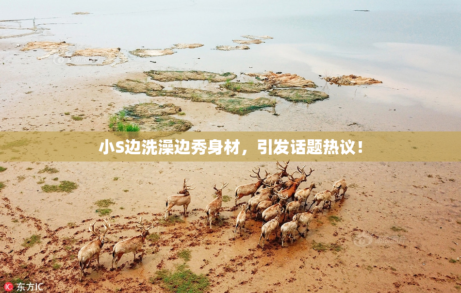 小S边洗澡边秀身材，引发话题热议！