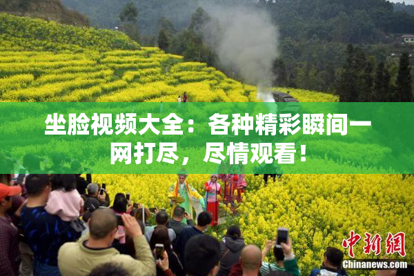 坐脸视频大全：各种精彩瞬间一网打尽，尽情观看！