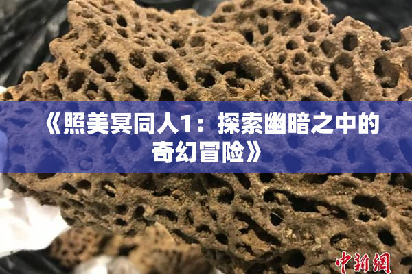 《照美冥同人1：探索幽暗之中的奇幻冒险》