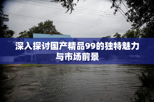深入探讨国产精品99的独特魅力与市场前景