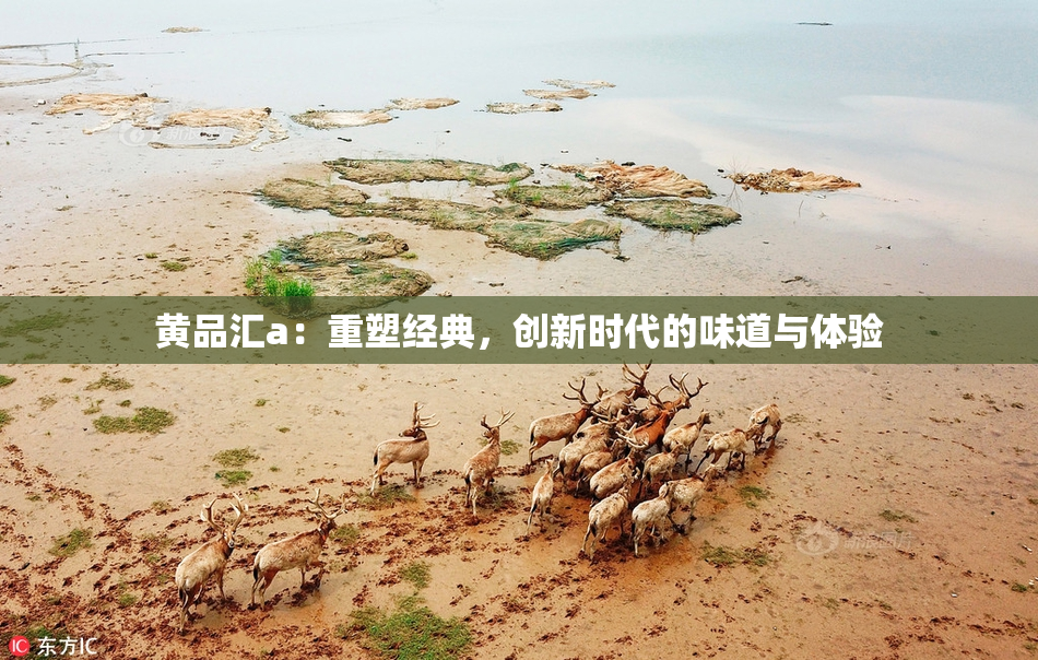 黄品汇a：重塑经典，创新时代的味道与体验