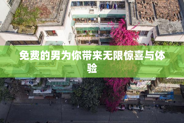 免费的男为你带来无限惊喜与体验