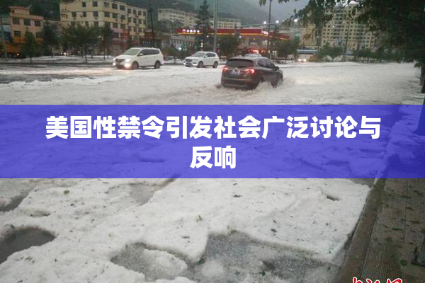 美国性禁令引发社会广泛讨论与反响