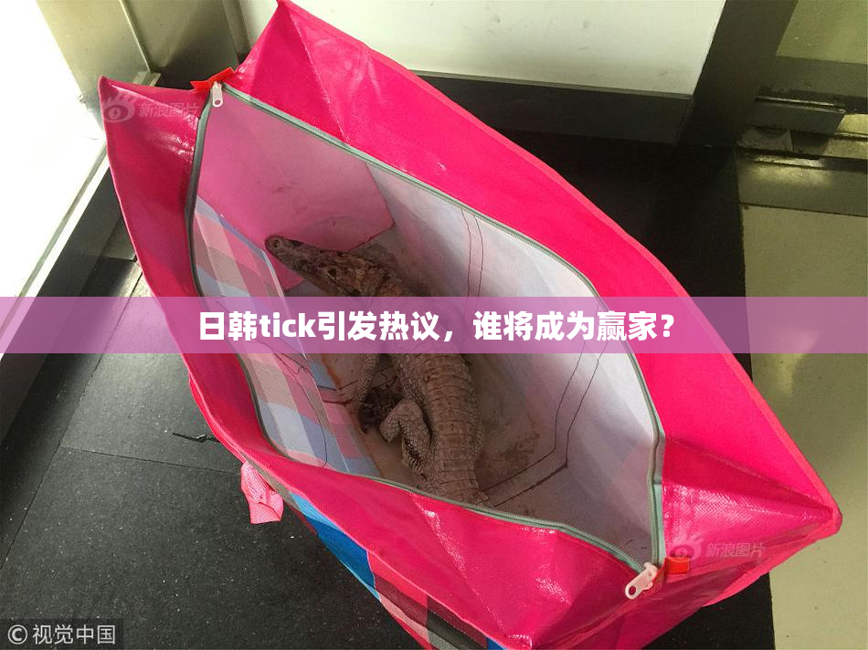 日韩tick引发热议，谁将成为赢家？