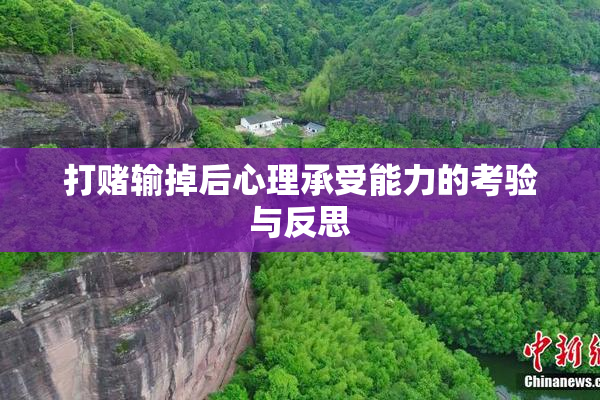 打赌输掉后心理承受能力的考验与反思