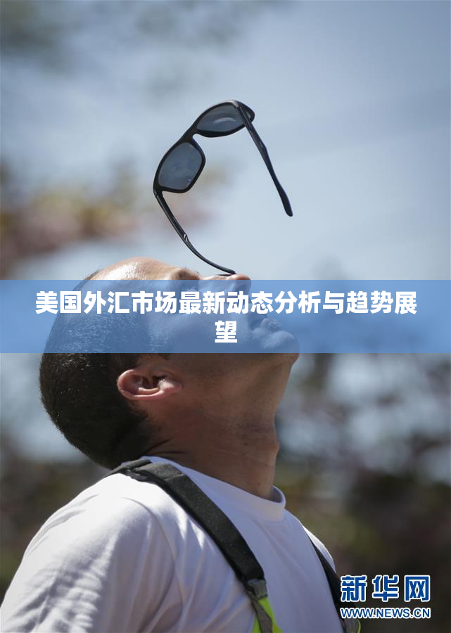 美国外汇市场最新动态分析与趋势展望