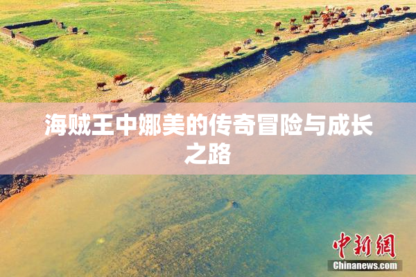 海贼王中娜美的传奇冒险与成长之路