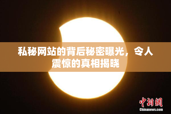 私秘网站的背后秘密曝光，令人震惊的真相揭晓