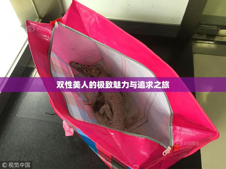 双性美人的极致魅力与追求之旅