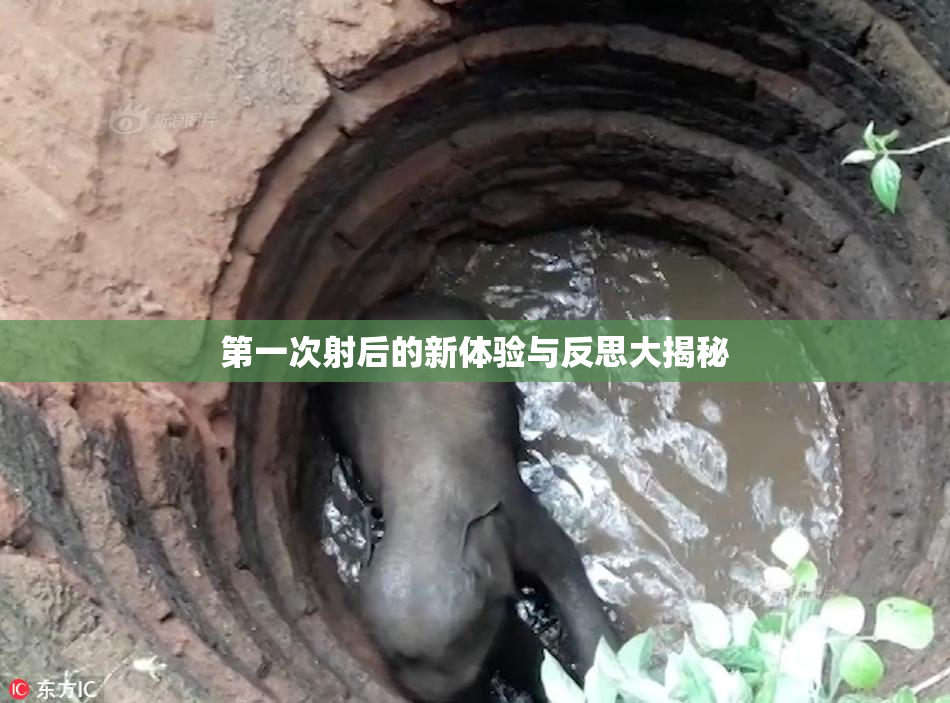 第一次射后的新体验与反思大揭秘