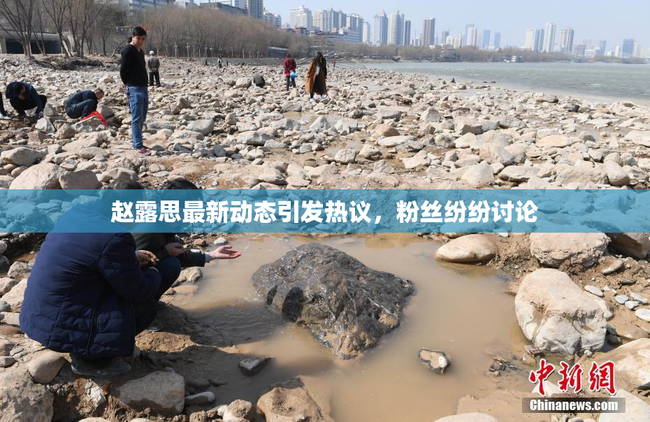 赵露思最新动态引发热议，粉丝纷纷讨论