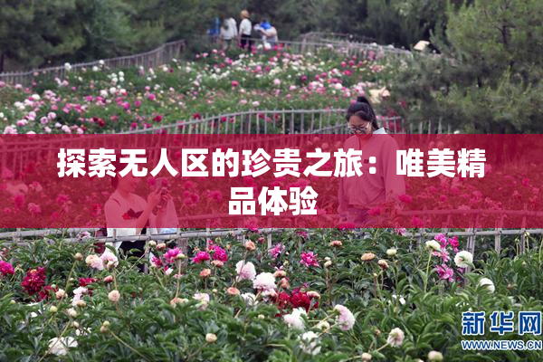 探索无人区的珍贵之旅：唯美精品体验
