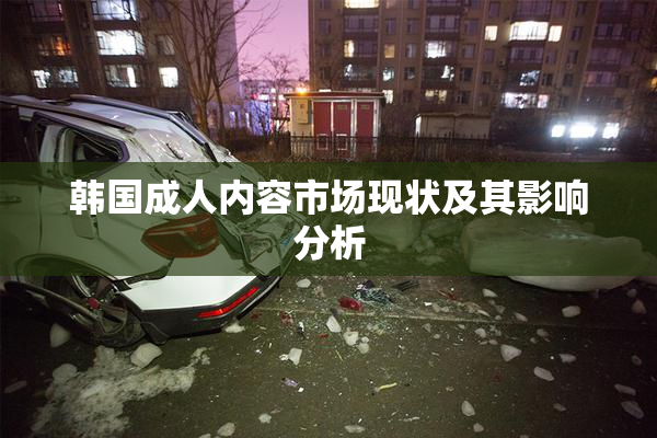 韩国成人内容市场现状及其影响分析