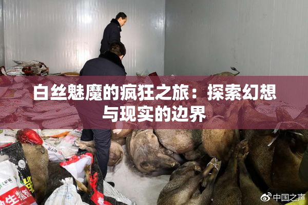 白丝魅魔的疯狂之旅：探索幻想与现实的边界
