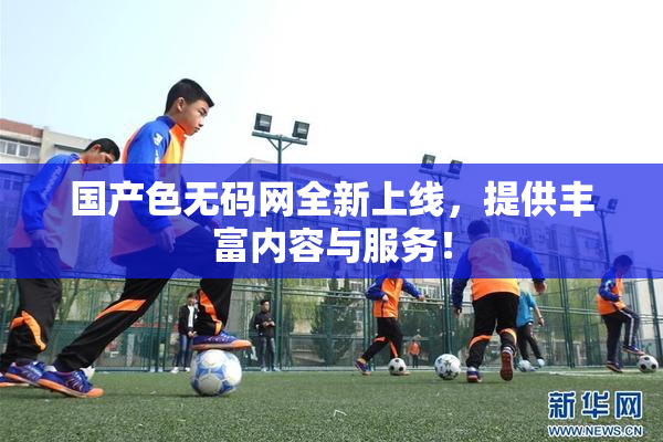 国产色无码网全新上线，提供丰富内容与服务！
