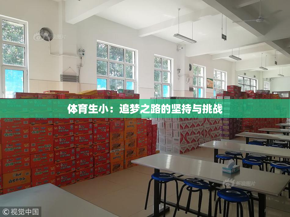 体育生小：追梦之路的坚持与挑战