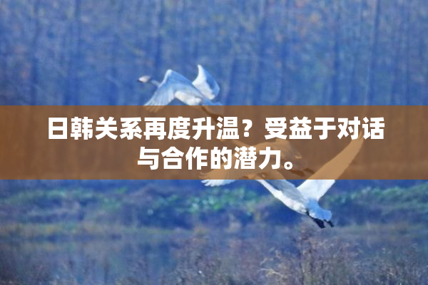 日韩关系再度升温？受益于对话与合作的潜力。