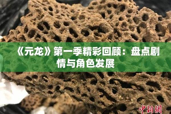 《元龙》第一季精彩回顾：盘点剧情与角色发展