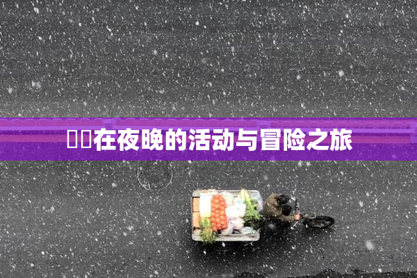 妺妺在夜晚的活动与冒险之旅