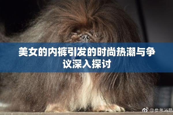 美女的内裤引发的时尚热潮与争议深入探讨