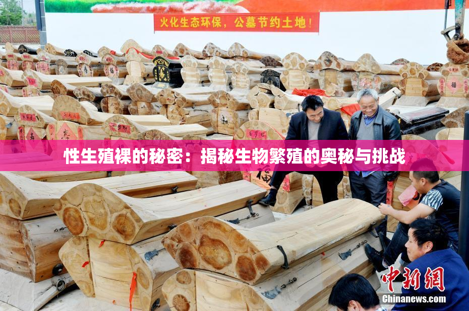 性生殖裸的秘密：揭秘生物繁殖的奥秘与挑战